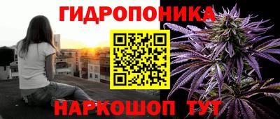 mdma Новодвинск