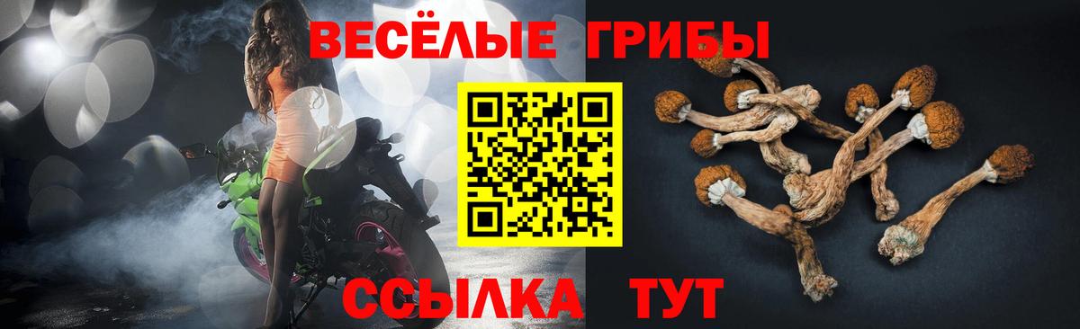 Северобайкальск  купить наркотик  Вход с VPN  Псилоцибиновые грибы Cubensis 